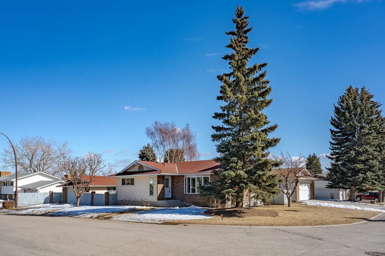 A large pine tree in front of a house.