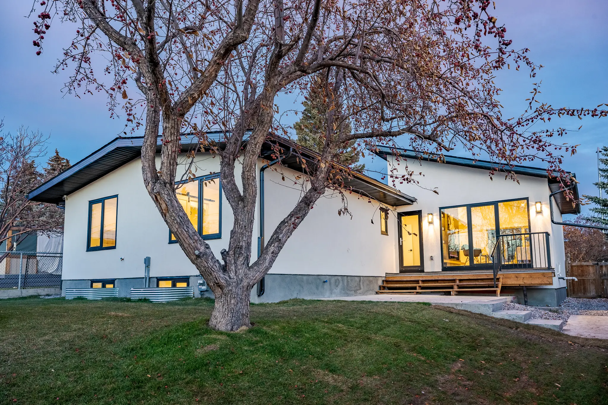 A tree in front of a house with windows.